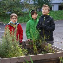 Gartenarbeit 1c