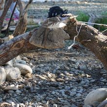 Ausflüge zum See 1c