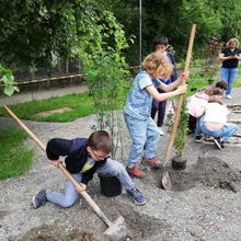Gestaltung Schulgarten