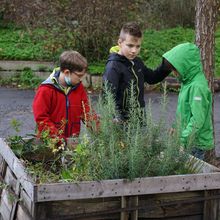Gartenarbeit 1c
